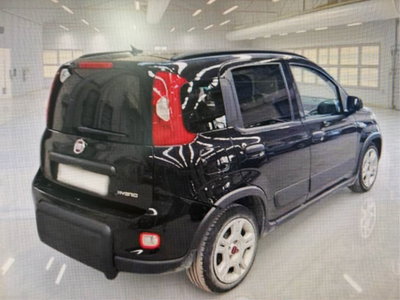 Fiat Panda 1.0 FireFly S&S Hybrid City Cross (2)