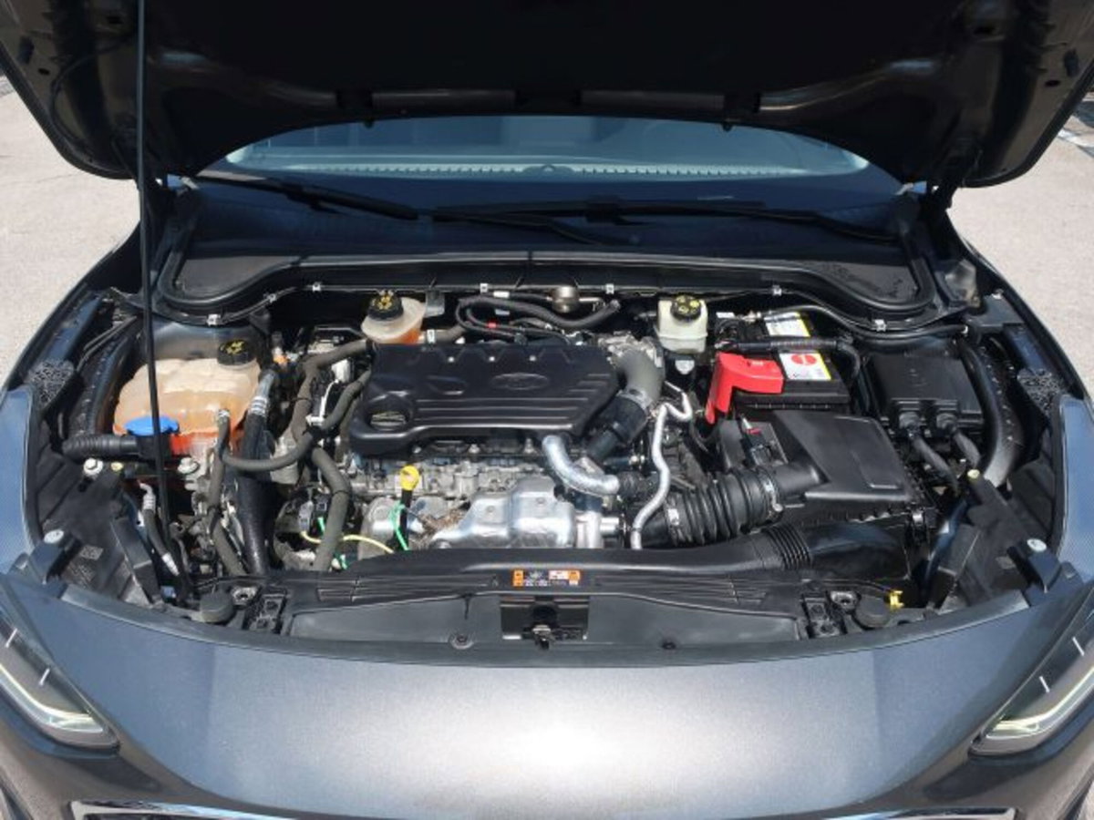 Ford Focus Station Wagon 1.5 EcoBlue 120 CV automatico SW Business (14)