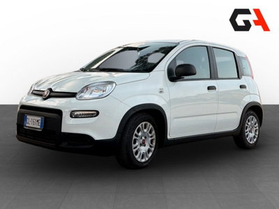 Fiat Panda Cross Cross 1.0 FireFly S&S Hybrid usata