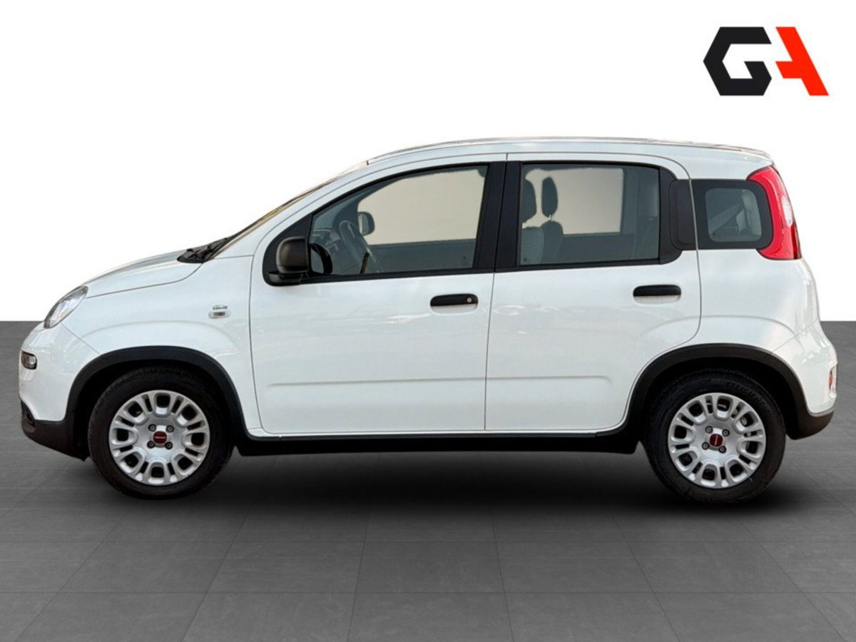 Fiat Panda Cross Cross 1.0 FireFly S&S Hybrid (4)