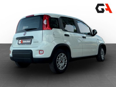 Fiat Panda Cross Cross 1.0 FireFly S&S Hybrid (7)