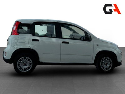 Fiat Panda Cross Cross 1.0 FireFly S&S Hybrid (8)