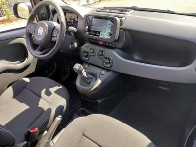 Fiat Pandina 1.0 firefly hybrid Icon s&s 65cv (16)
