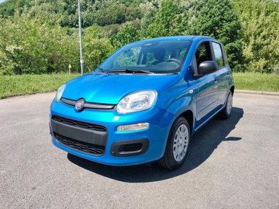 Fiat Pandina 1.0 firefly hybrid Icon s&s 65cv (3)