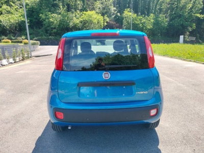 Fiat Pandina 1.0 firefly hybrid Icon s&s 65cv (7)