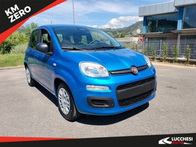 Fiat Pandina 1.0 firefly hybrid Icon s&s 65cv nuova