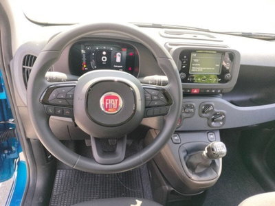 Fiat Pandina 1.0 firefly hybrid Icon s&s 65cv (12)
