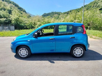 Fiat Pandina 1.0 firefly hybrid Icon s&s 65cv (5)