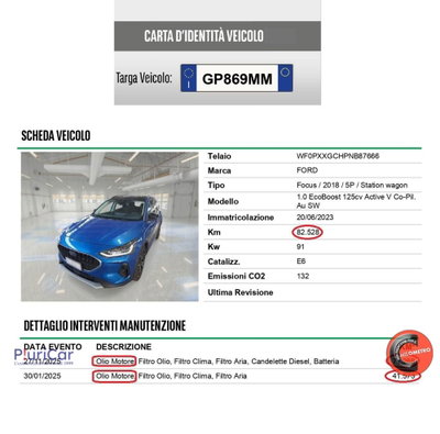 Ford Focus 1.0 EcoBoost 125 CV automatico 5p. Active Co-Pilot (15)