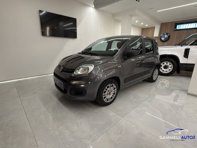 Fiat Panda 1.2 Easy (3)