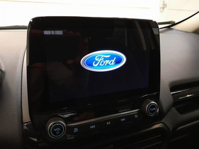 Ford EcoSport 1.0 EcoBoost 125 CV Start&Stop ST-Line (19)