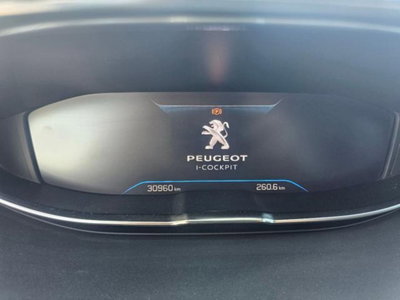 Peugeot 3008 BlueHDi 130 S&S EAT8 Active Pack (14)