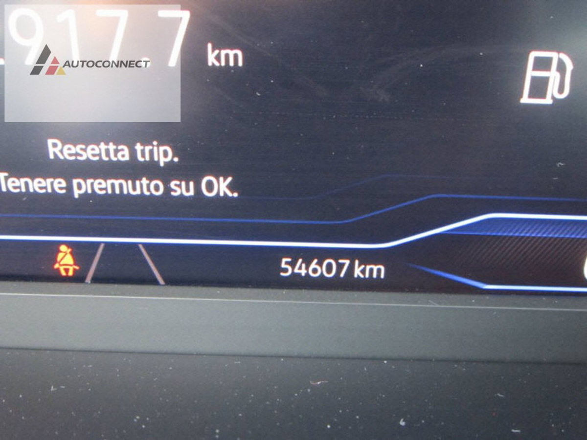 Volkswagen Passat Variant 2.0 TDI SCR EVO DSG Executive (14)