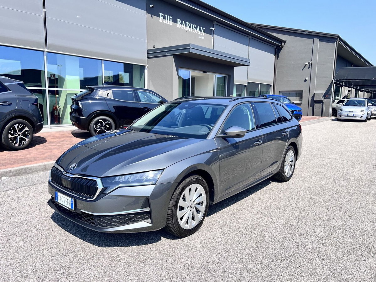 Skoda Octavia Station Wagon 2.0 tdi Executive 150cv dsg