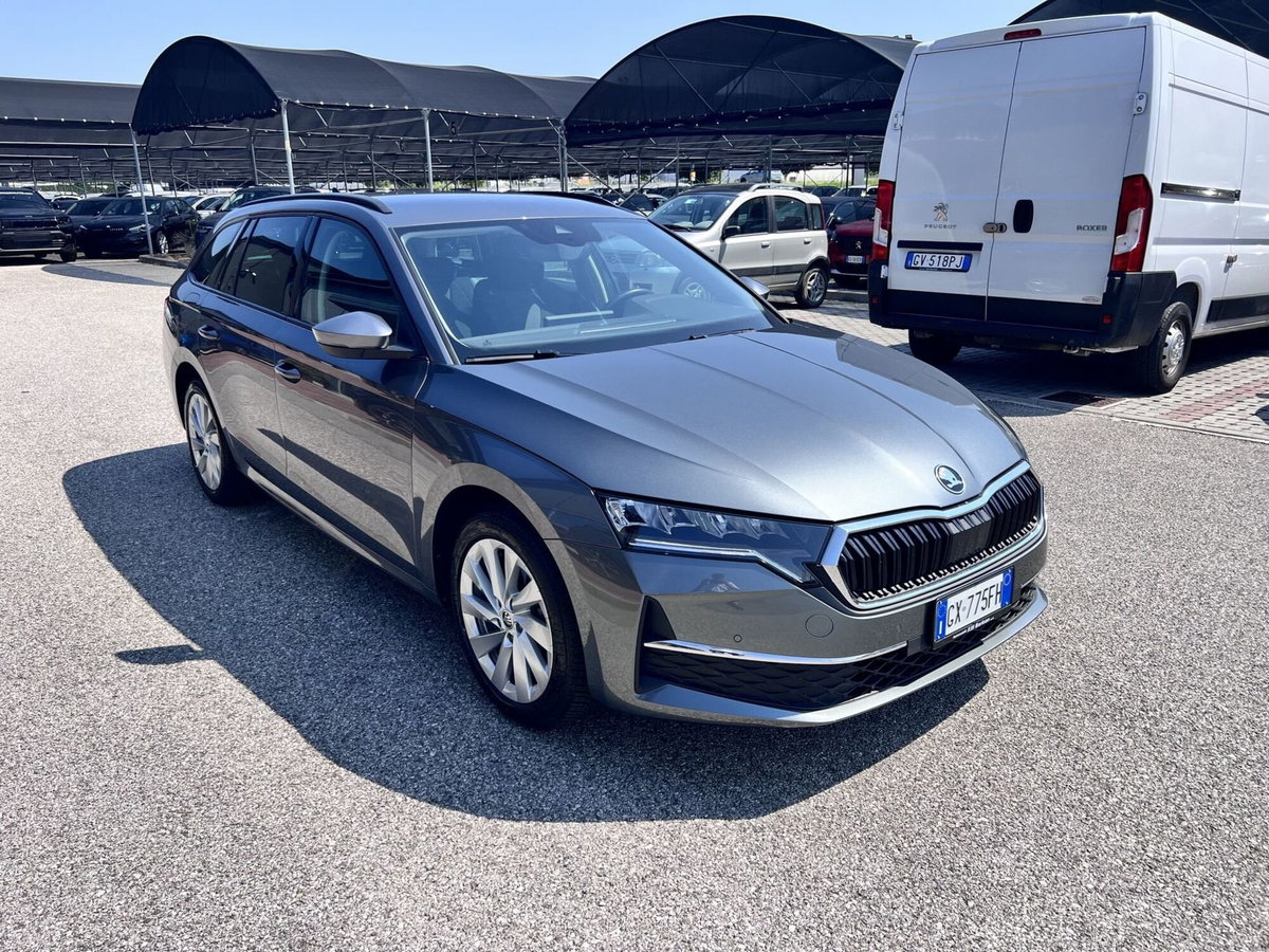 Skoda Octavia Station Wagon 2.0 tdi Executive 150cv dsg (2)