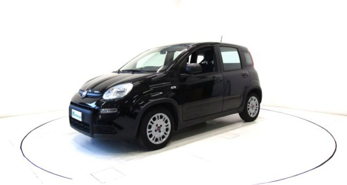 Fiat Panda 1.0 firefly hybrid s&s 70cv 5p.ti (12)
