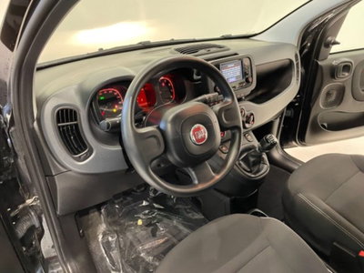 Fiat Panda 1.0 firefly hybrid s&s 70cv 5p.ti (15)