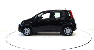 Fiat Panda 1.0 firefly hybrid s&s 70cv 5p.ti (16)