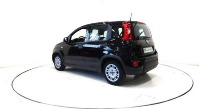 Fiat Panda 1.0 firefly hybrid s&s 70cv 5p.ti (18)