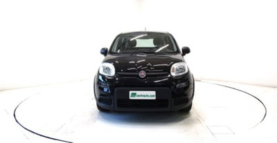 Fiat Panda 1.0 firefly hybrid s&s 70cv 5p.ti (2)