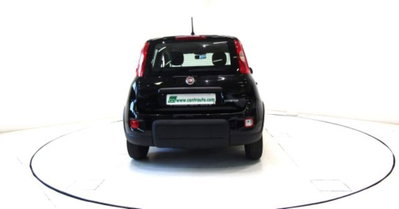 Fiat Panda 1.0 firefly hybrid s&s 70cv 5p.ti (4)