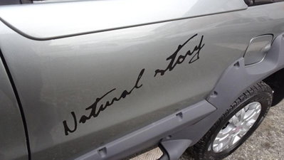 Fiat Strada 1.9 diesel Pick-up (19)