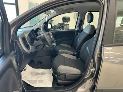 Fiat Panda 1.0 firefly hybrid s&s 70cv 5p.ti (10)
