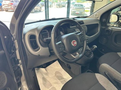 Fiat Panda 1.0 firefly hybrid s&s 70cv 5p.ti (18)