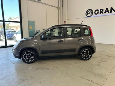Fiat Panda 1.0 firefly hybrid s&s 70cv 5p.ti (2)