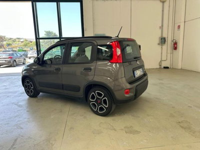 Fiat Panda 1.0 firefly hybrid s&s 70cv 5p.ti (3)
