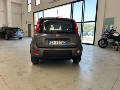 Fiat Panda 1.0 firefly hybrid s&s 70cv 5p.ti (4)