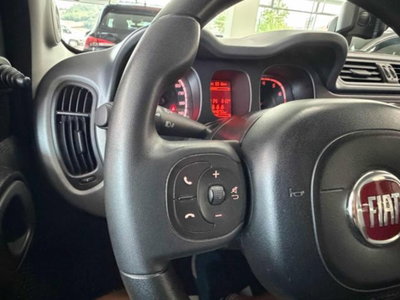 Fiat Panda 1.0 firefly hybrid s&s 70cv 5p.ti (11)