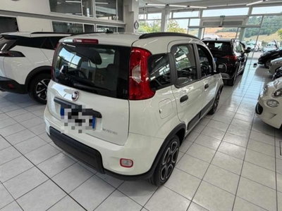 Fiat Panda 1.0 firefly hybrid s&s 70cv 5p.ti (3)