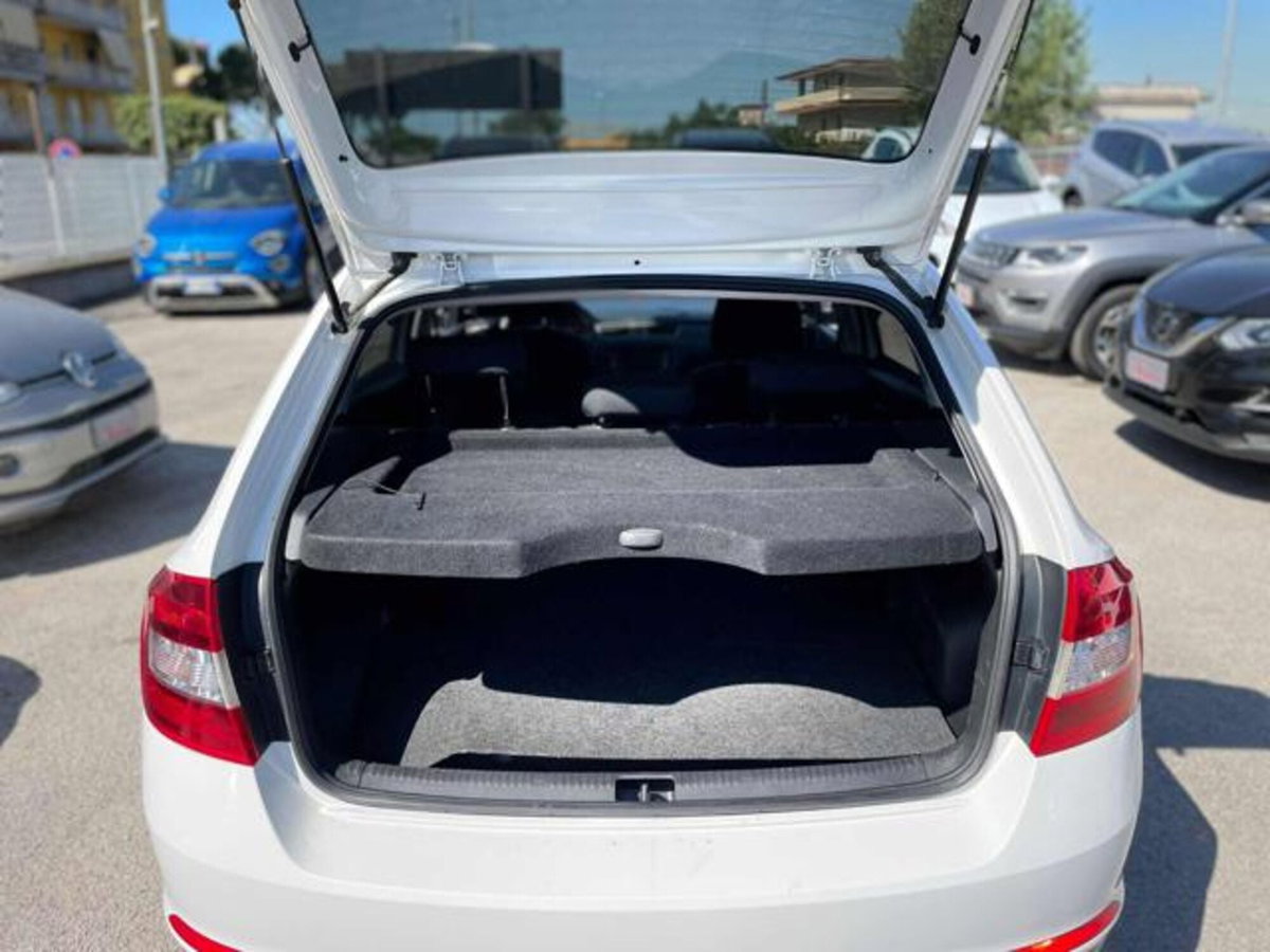 Skoda Rapid Ambition (12)
