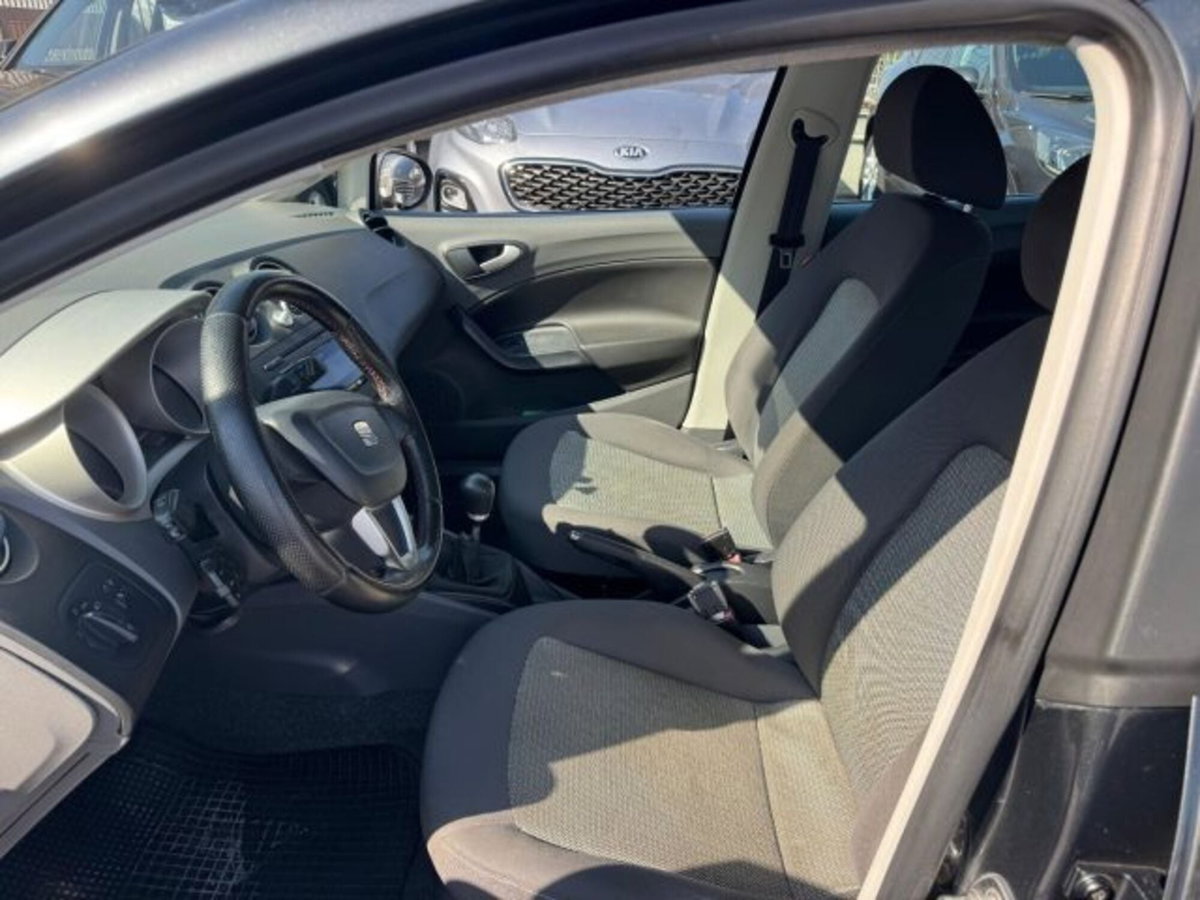 SEAT Ibiza 1.6 TDI CR DPF 5 porte Style (9)