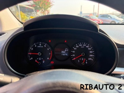 Kia Picanto 1.0 12V 5 porte Active (5)