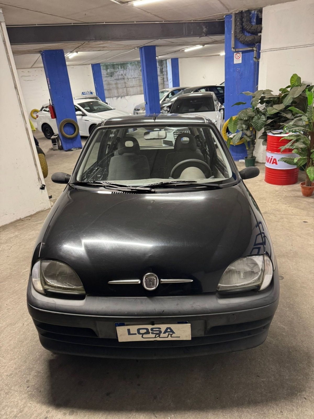 Fiat 600 1.1 Active (6)