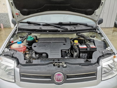 Fiat Panda 1.3 MJT 16V DPF 4x4 Climbing (12)