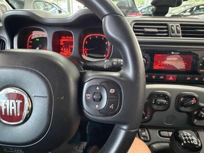 Fiat Panda 1.0 firefly hybrid s&s 70cv 5p.ti (10)