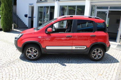Fiat Panda Cross Cross 1.3 MJT 95 CV S&S 4x4 (2)