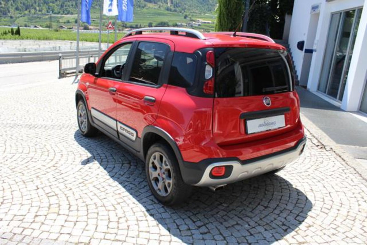 Fiat Panda Cross Cross 1.3 MJT 95 CV S&S 4x4 (3)