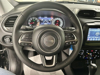 Jeep Renegade 1.3 T4 DDCT Limited (12)