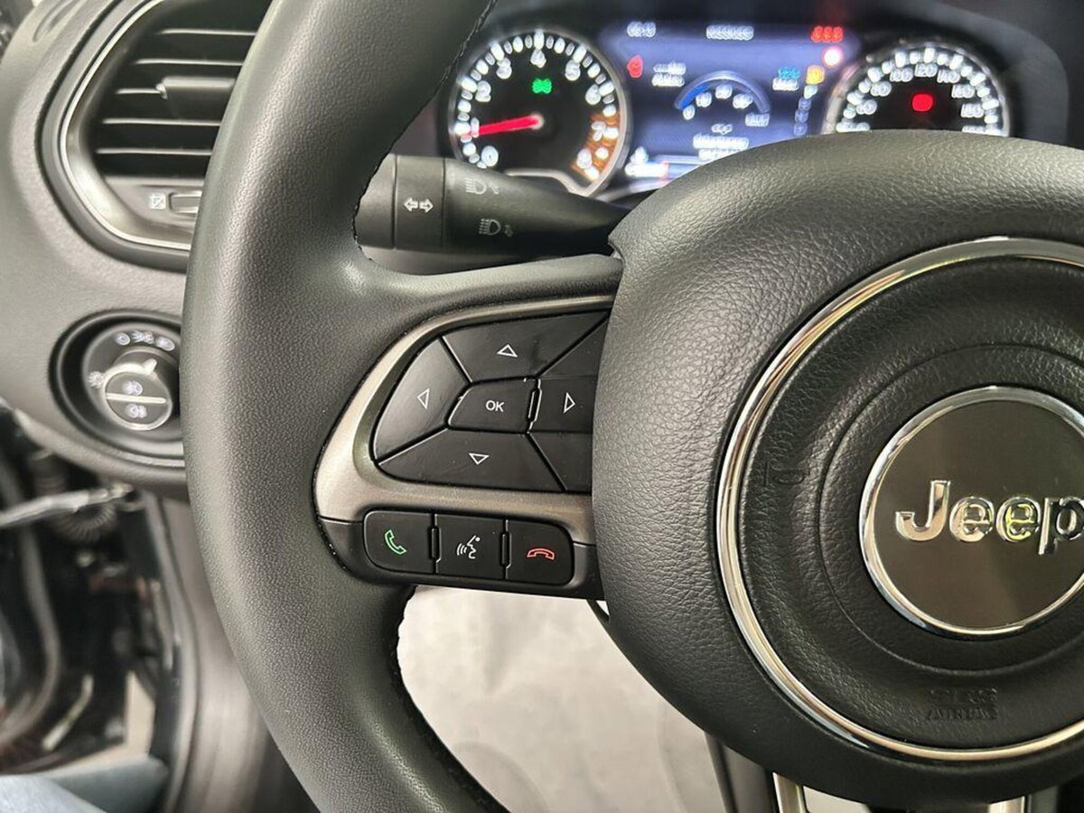 Jeep Renegade 1.3 T4 DDCT Limited (13)