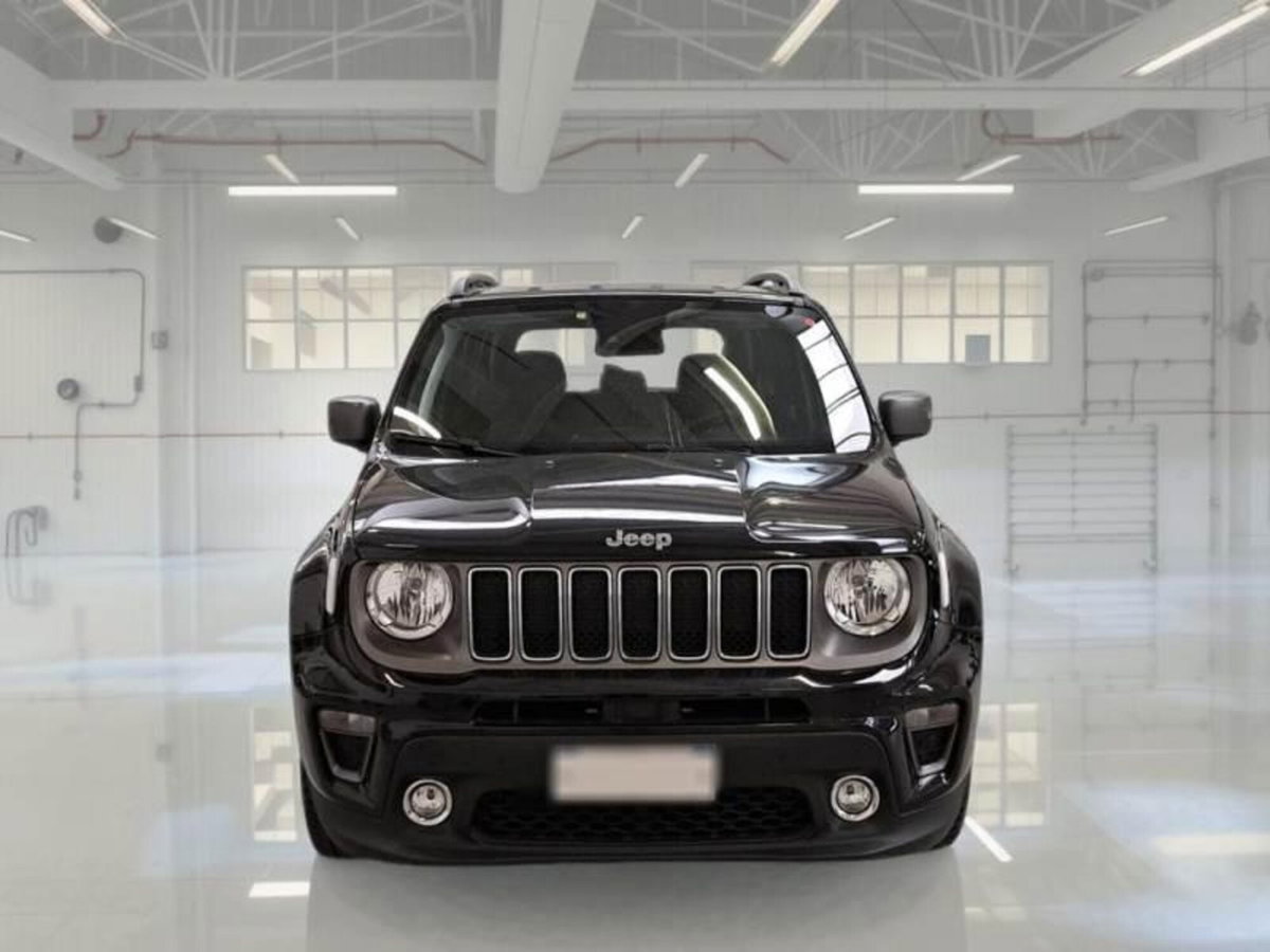 Jeep Renegade 1.3 T4 DDCT Limited (2)