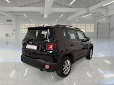 Jeep Renegade 1.3 T4 DDCT Limited (4)