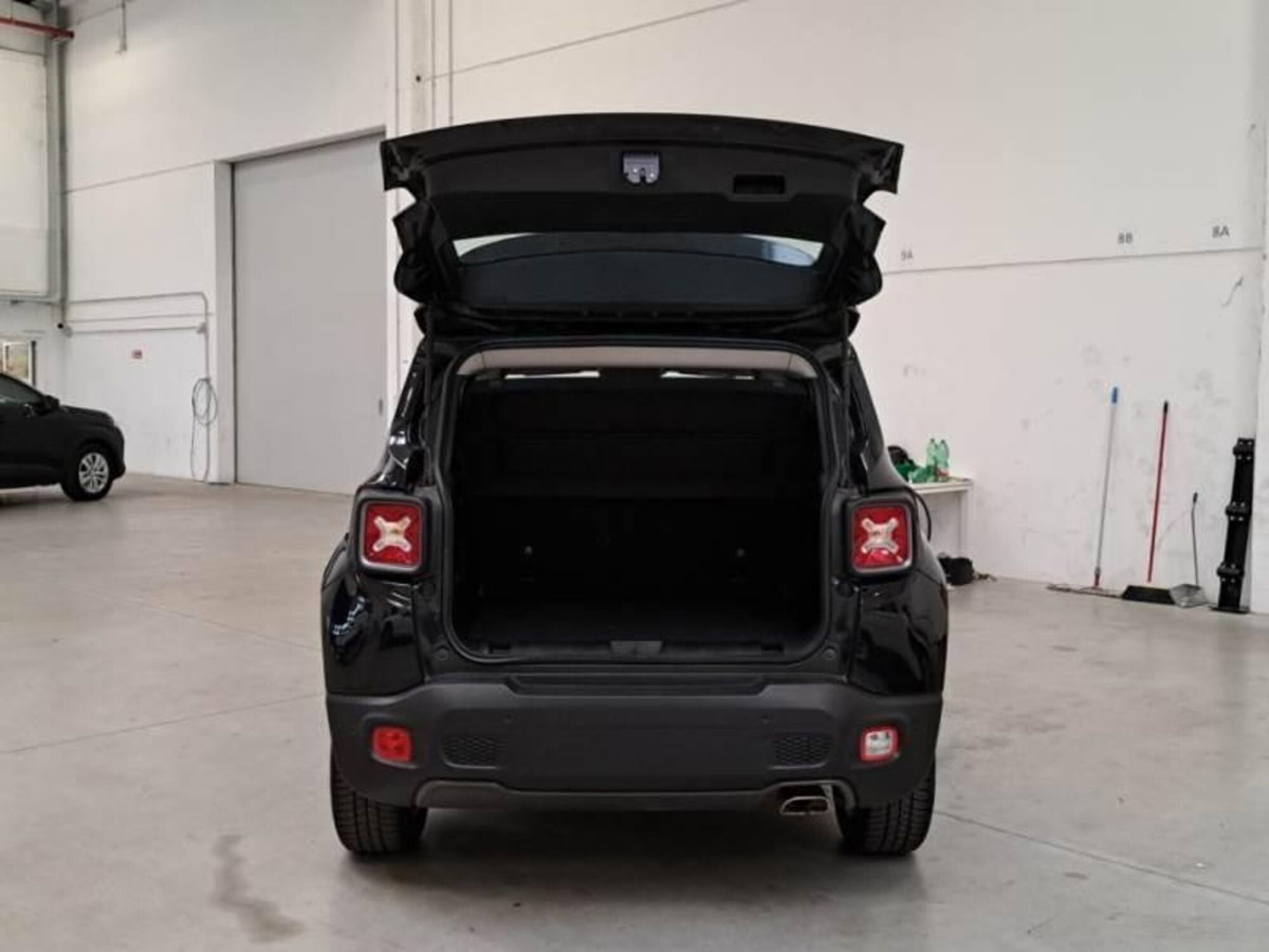 Jeep Renegade 1.3 T4 DDCT Limited (6)