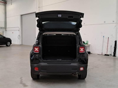 Jeep Renegade 1.3 T4 DDCT Limited (6)