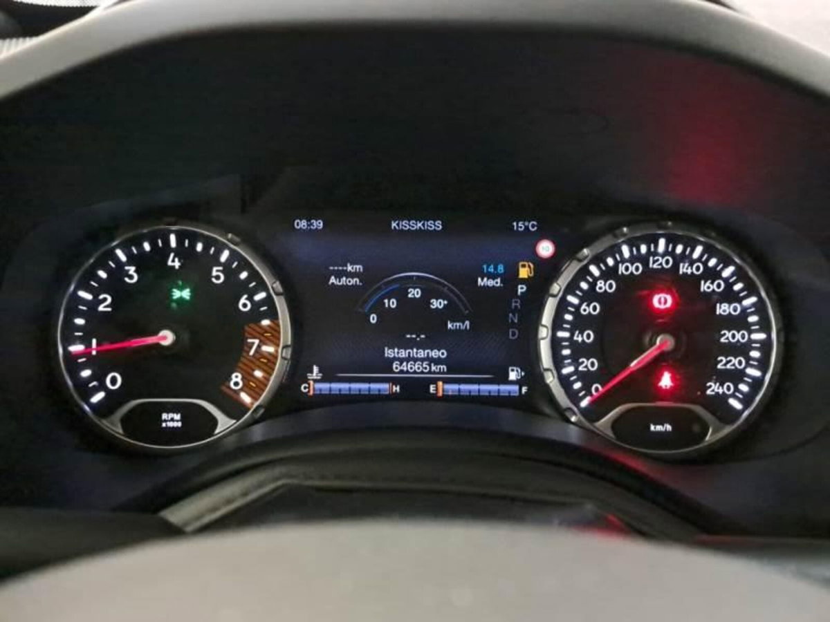 Jeep Renegade 1.3 T4 DDCT Limited (8)