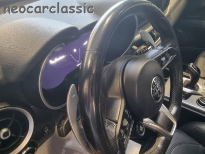 Alfa Romeo Stelvio Stelvio 2.2 Turbodiesel 210 CV AT8 Q4 Veloce (12)