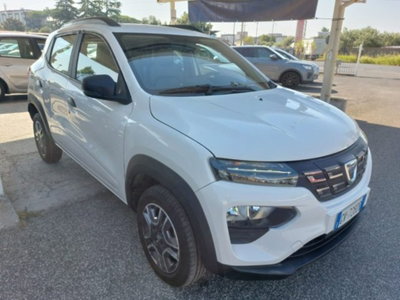 Dacia Spring Business Electric 45 (3)